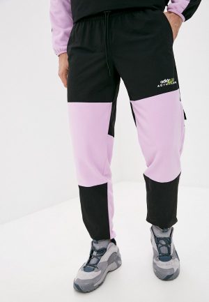 Брюки спортивные adidas Originals ADV PLFEC PANTS