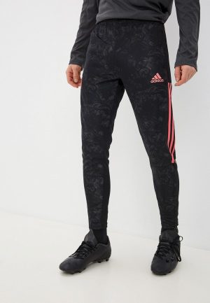 Брюки спортивные adidas REAL AOP TR PNT